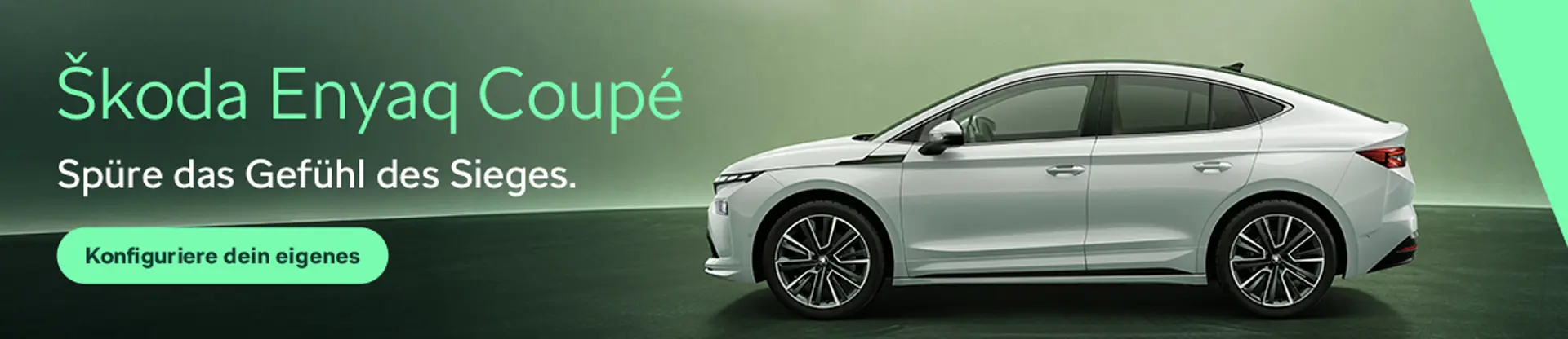 perfect-cycling-tandem