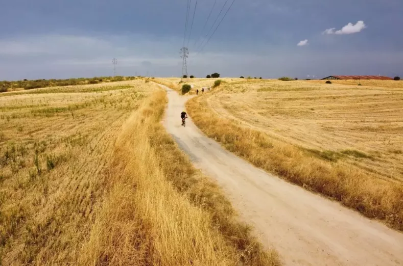 Gravelbiker fährt auf einsamer Schotterstraße durch goldene Felder – Symbol für Freiheit, Ruhe und mentale Stärke beim Radfahren.