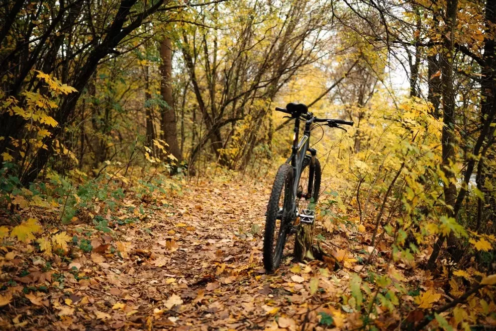 rutschige-wahrheiten-mit-dem-rad-durch-buntes-herbstlaub-und-so-tun-als-waere-es-nicht-furchteinfloessend