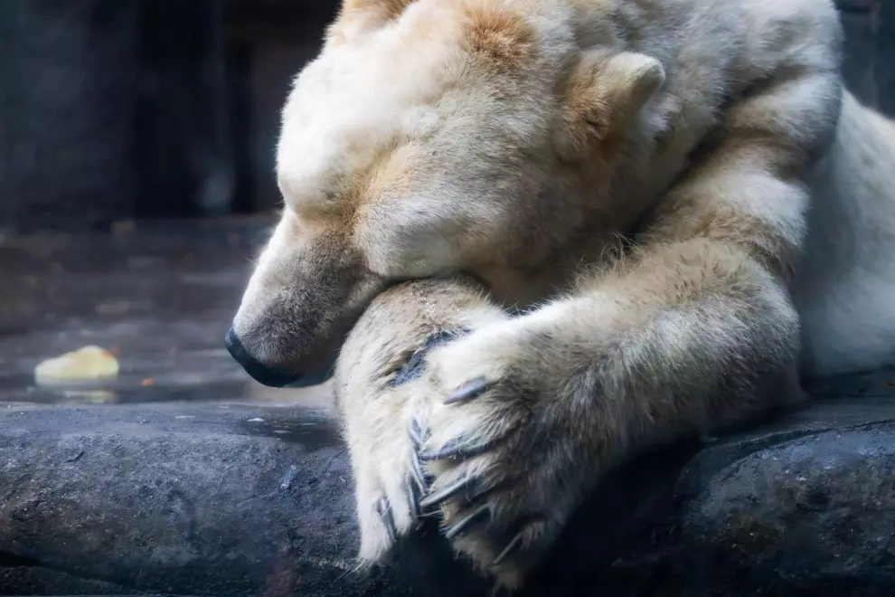 teszteld-az-alvasi-szokasaidat-ezzel-a-kerdoivvel