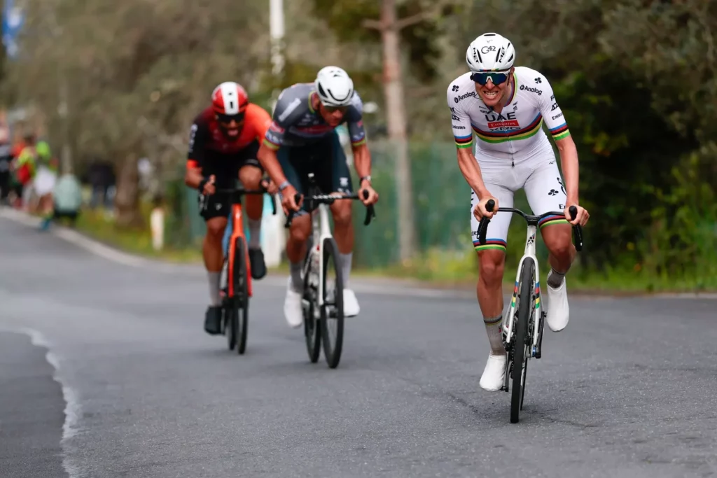 naplni-cipressa-pogacaruv-sen