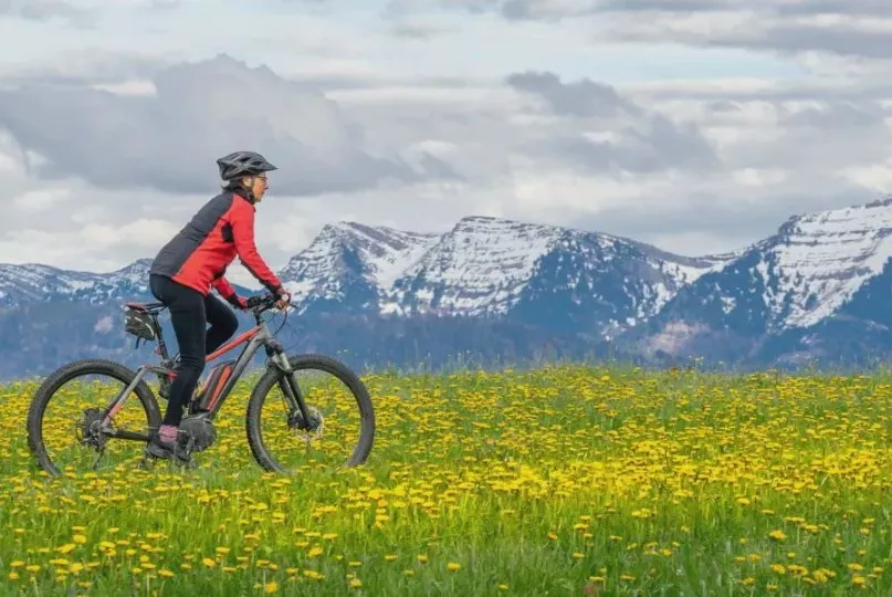 4-kodust-pikaealisuse-testi-kas-saad-nendega-hakkama