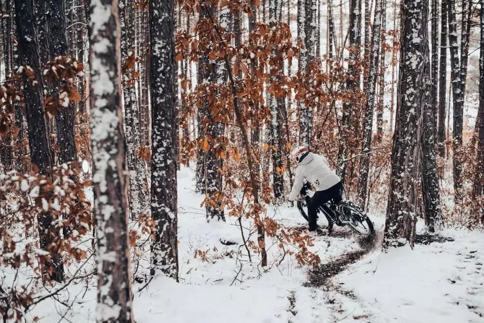 talvine-rattasoit-jaanuari-reset-soit