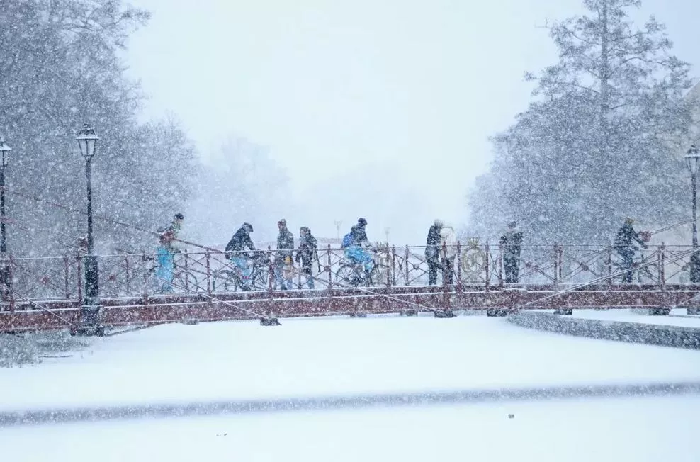 miks-sise-trenazoorid-ei-suuda-asendada-pariselu-soidukogemust