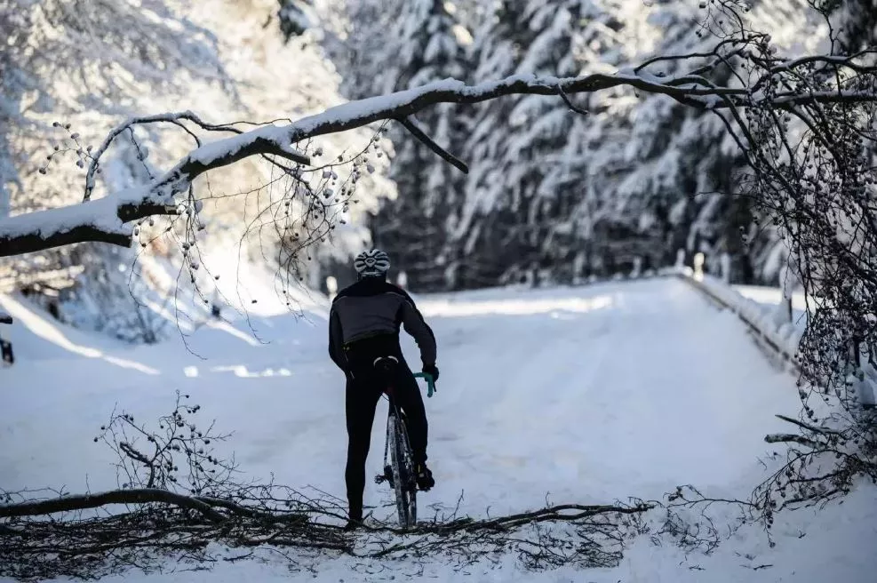 ratturi-immuunsus-kuidas-soita-haigena-ilma-olukorda-halvendamata