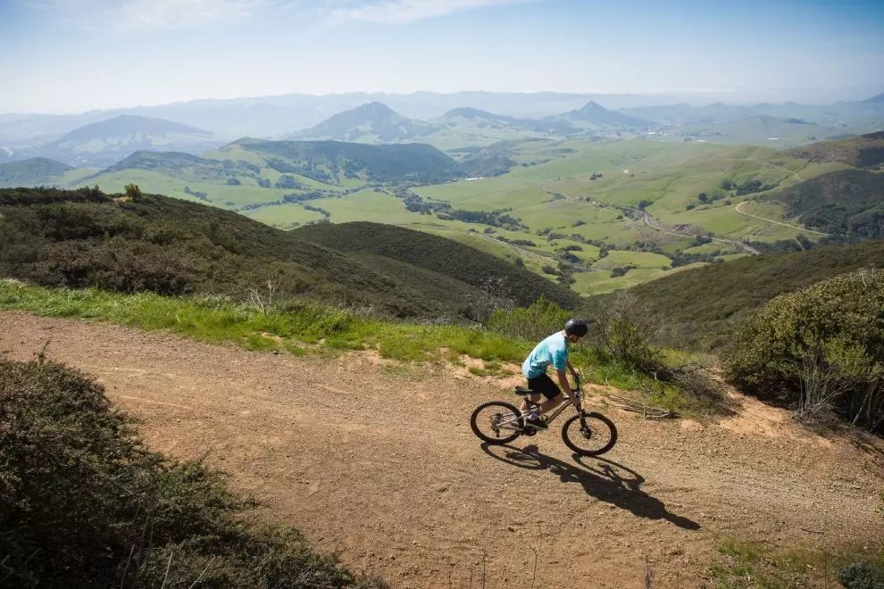 The Fauna of Riding in the Spring: How to Deal with the Early Spring Wildlife