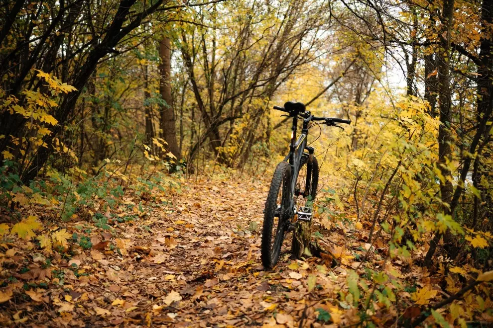slippery-truths-of-riding-through-autumn-foliage-and-pretending-its-not-terrifying
