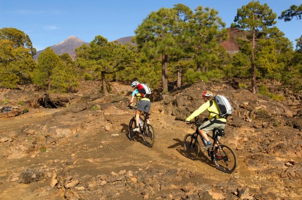 Teide National Park, Tenerife, Canaries, Spain