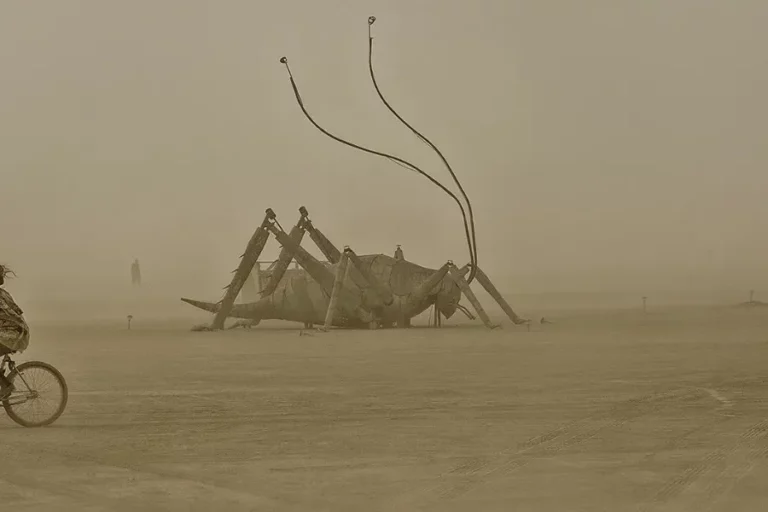 Marek Musil: I Was a Bike Repairman at the Burning Man - Škoda We