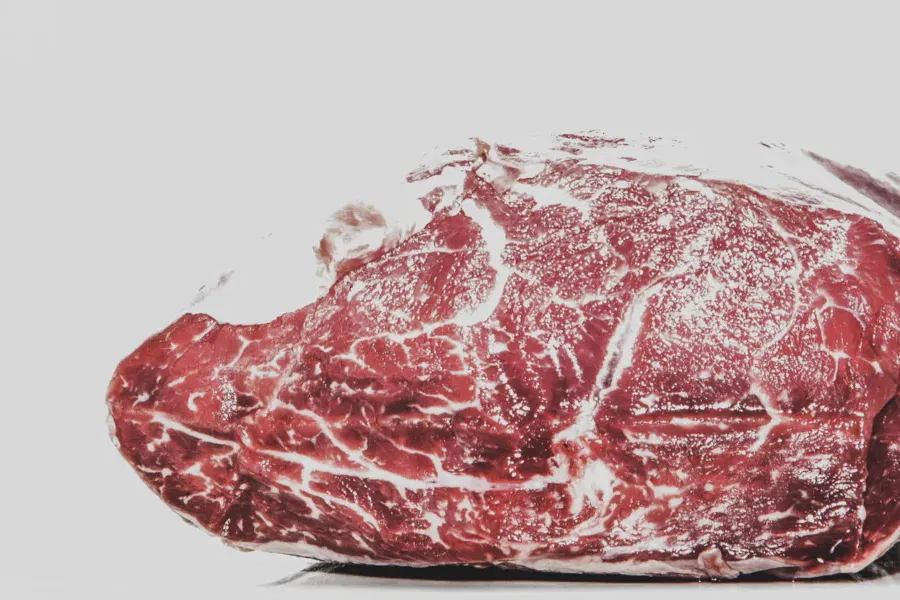 The Carnivore Diet