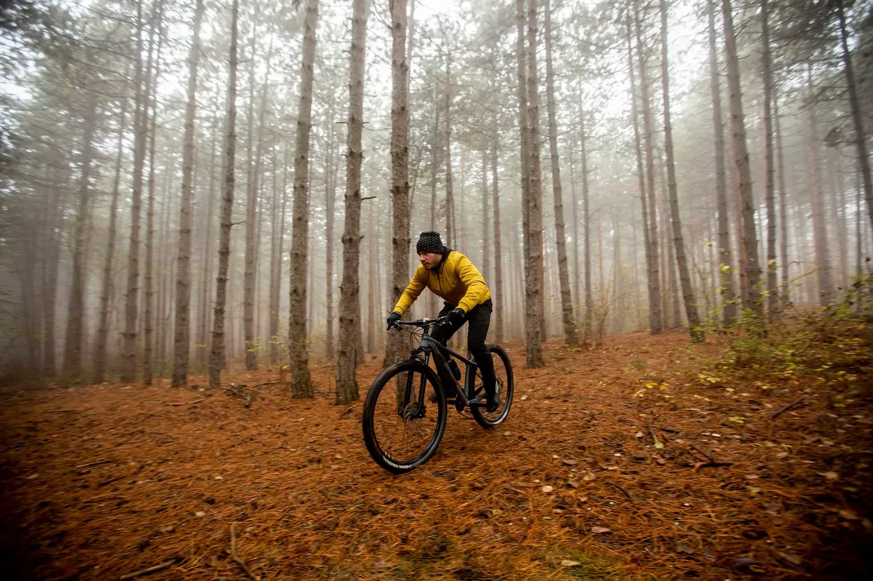 Cyclist in the woods