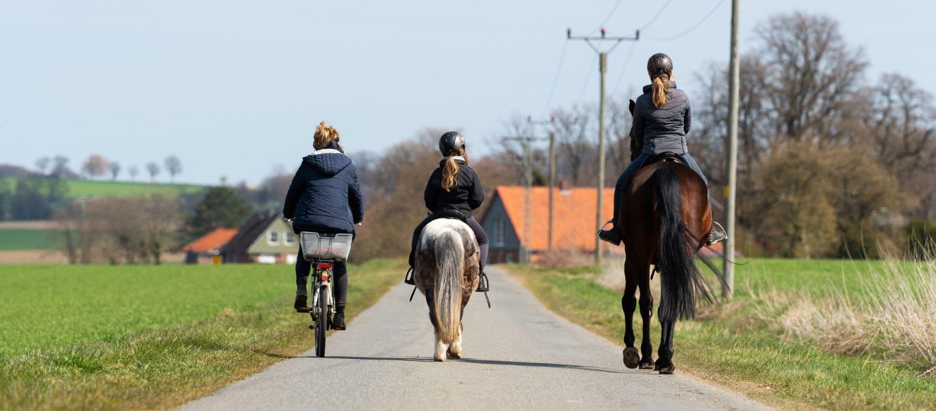 How to Pass Horses on a Bicycle We Love Cycling magazine