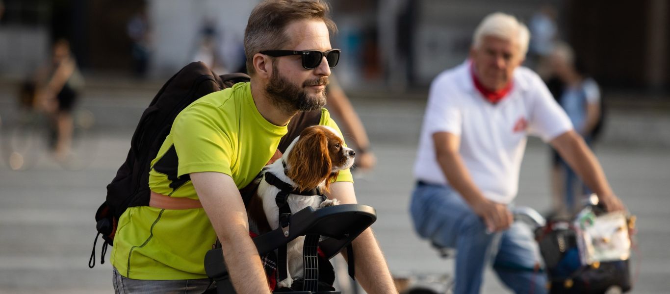 The Ultimate Guide to Biking with Your Dog - We Love Cycling magazine