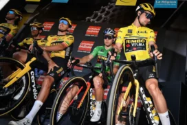 Jumbo-Visma-profimedia-