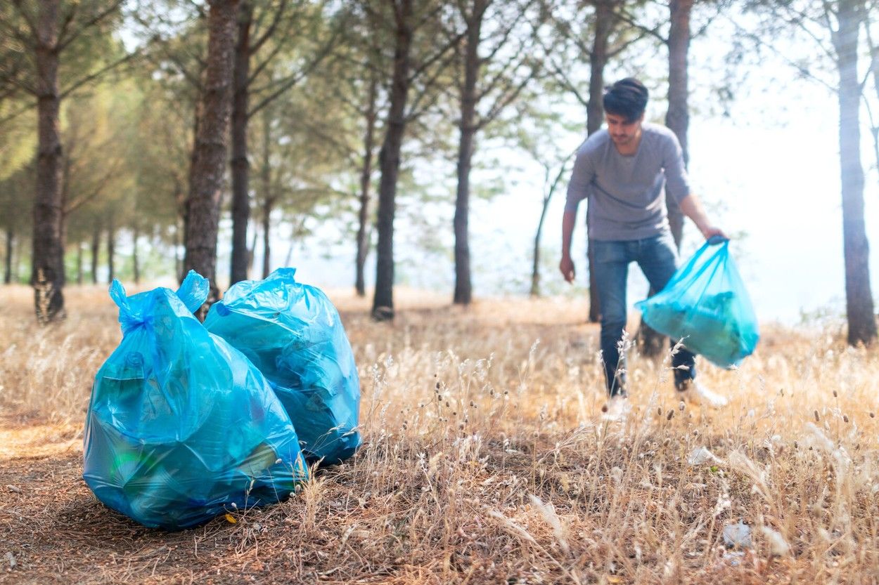 Brasil  World Cleanup Day 2022