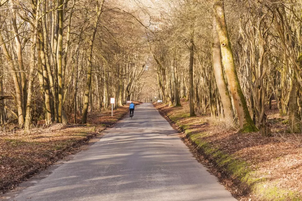 the-november-kit-crisis-no-one-knows-what-to-wear-and-everyone-looks-weird