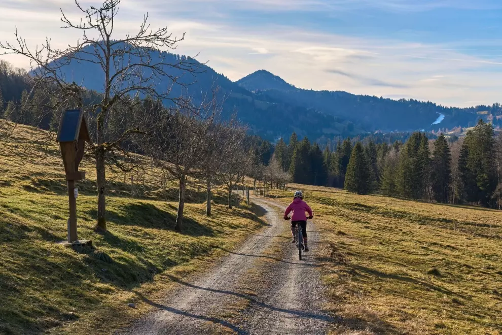 cyclist-immunity-what-matters-more-for-illness-risk-intensity-or-volume