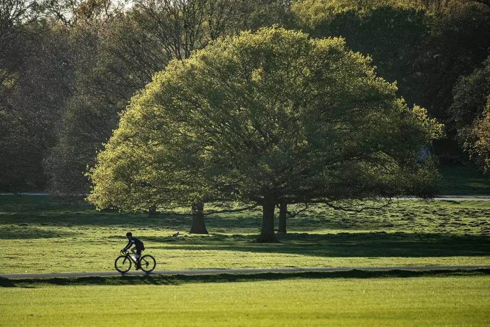 tile-hunting-which-platform-is-best-for-you