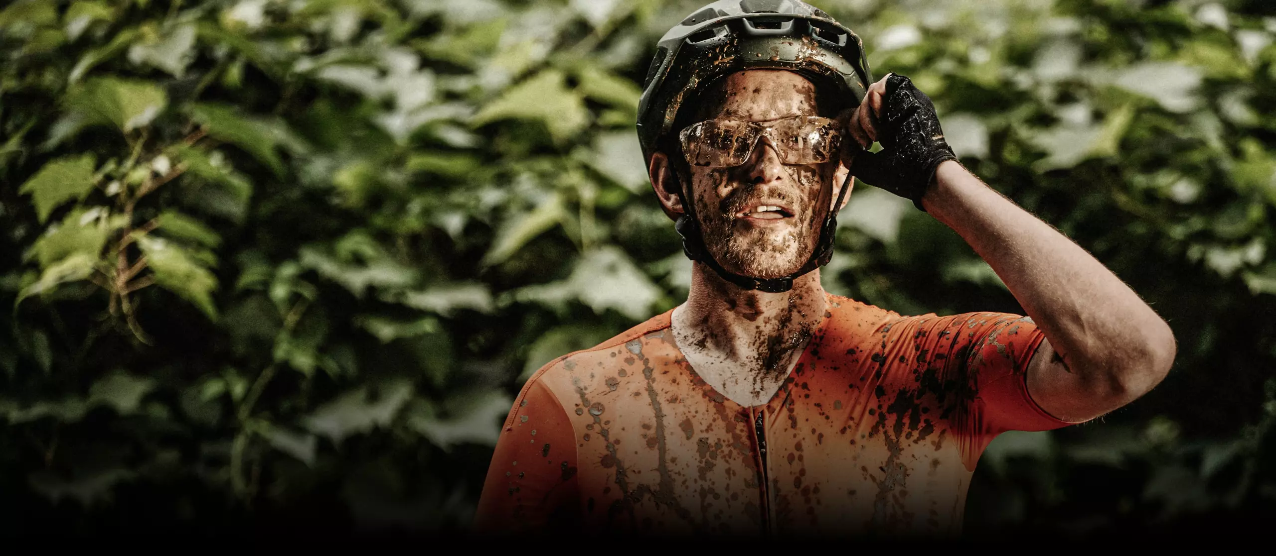 Προεπισκόπηση στοιχείου μενού