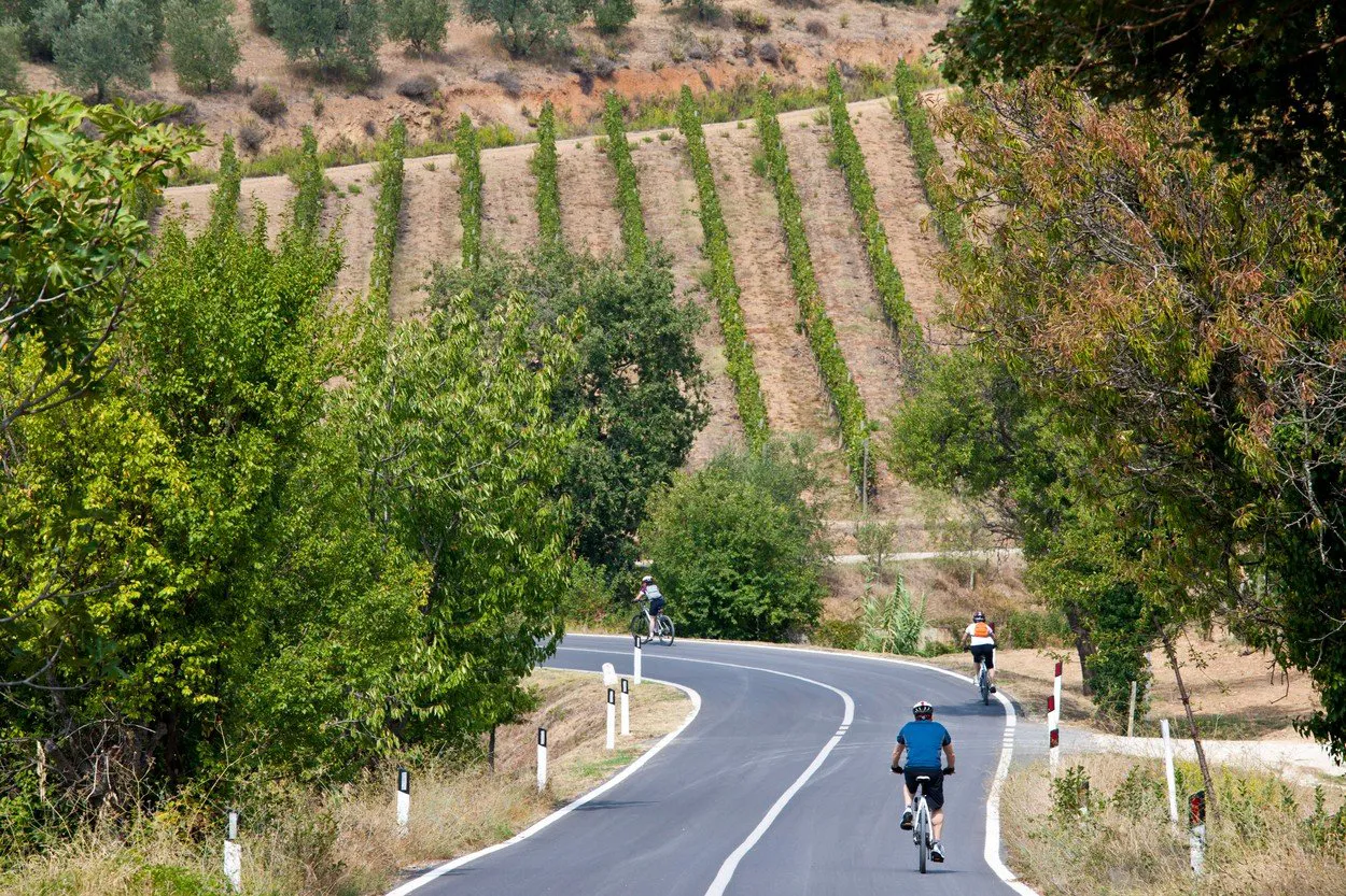 Cyclists in Tuscany