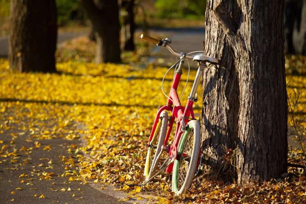ako-si-naplno-uzit-cyklistiku-v-jeseni
