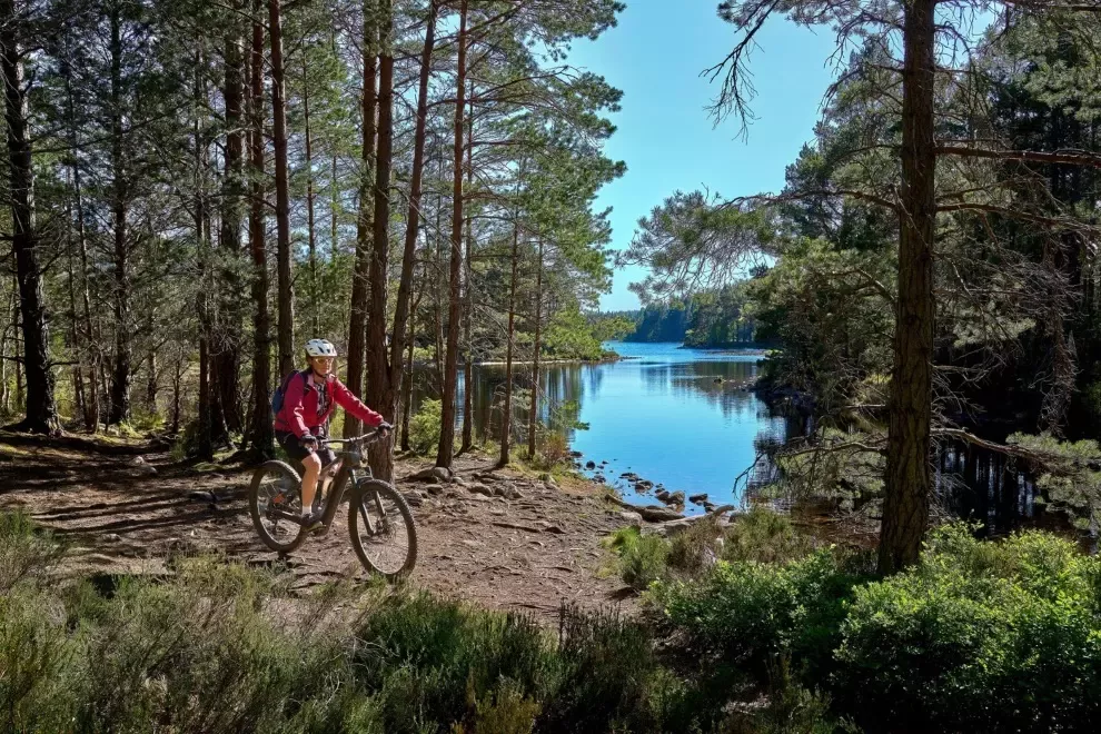 przepona-najbardziej-niedoceniany-z-miesni-posturalnych