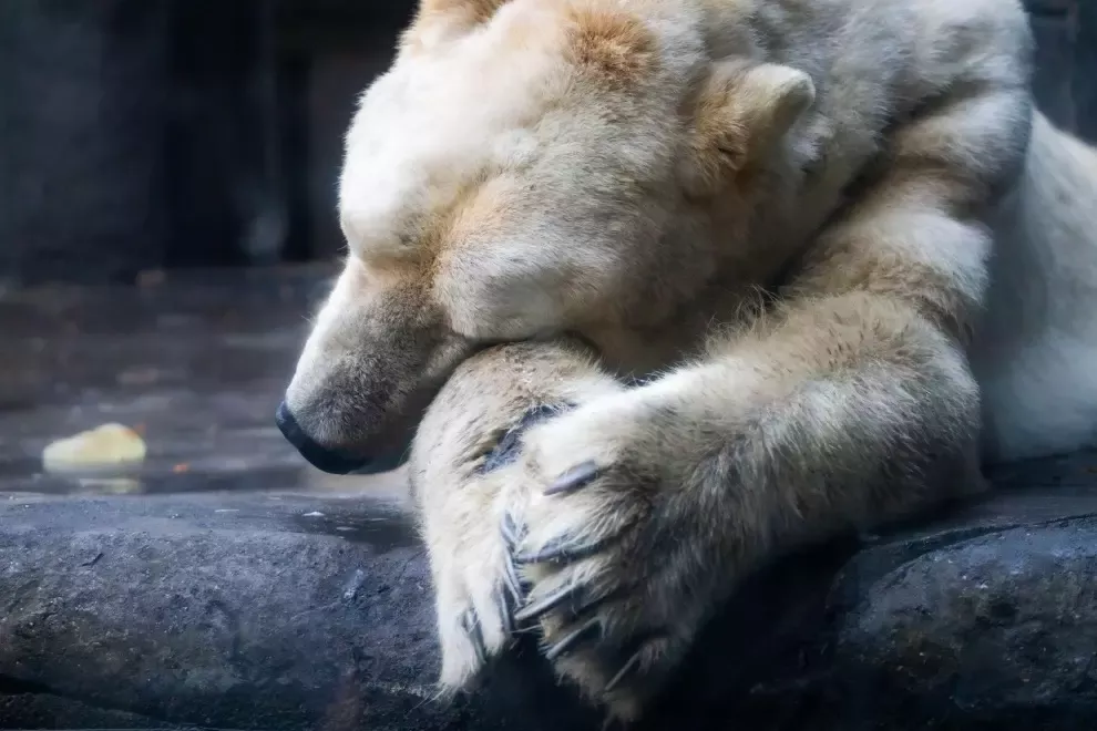 sprawdz-swoje-nawyki-zwiazane-ze-snem-kwestionariusz